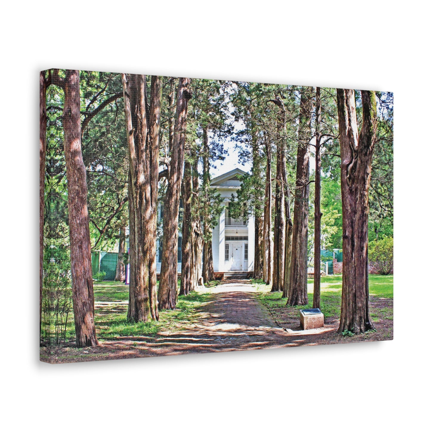 Rowan Oak - Oxford, MS Photography Canvas Gallery Wrap