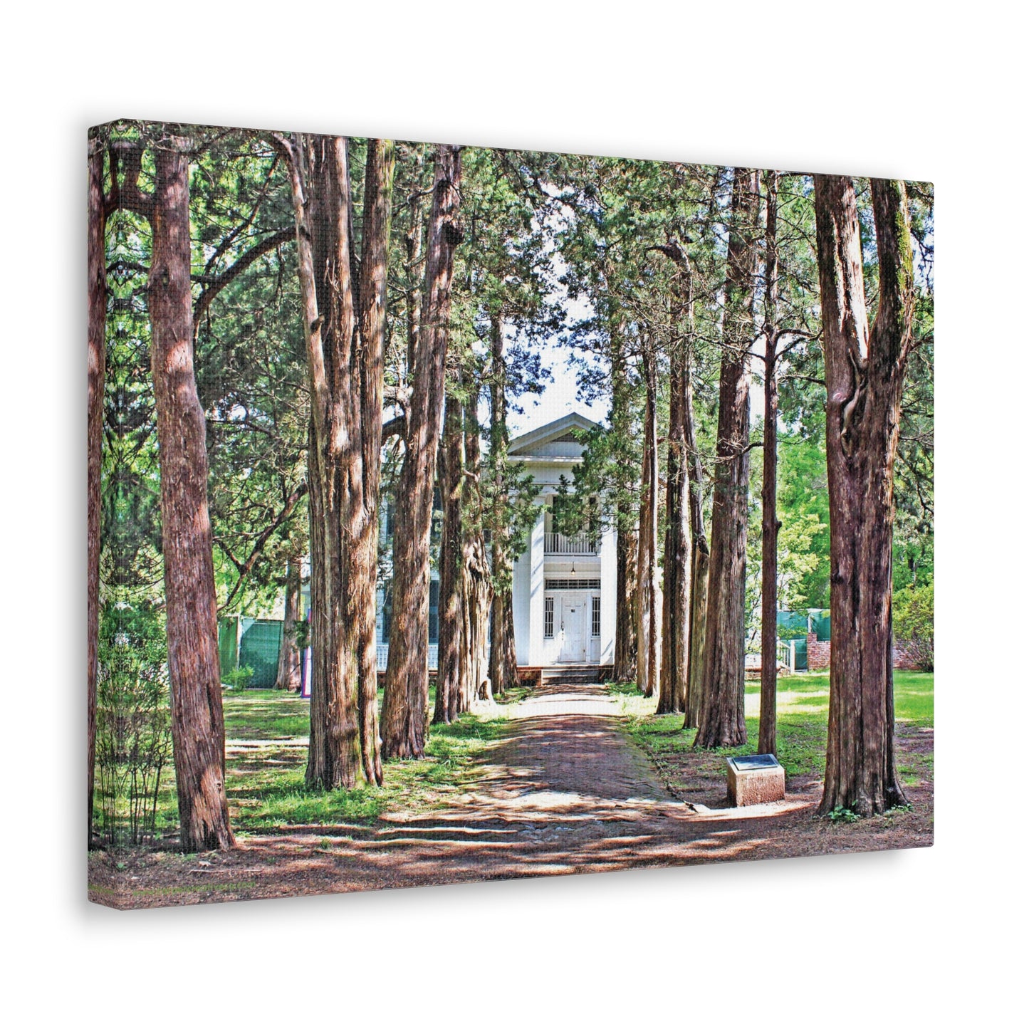 Rowan Oak - Oxford, MS Photography Canvas Gallery Wrap