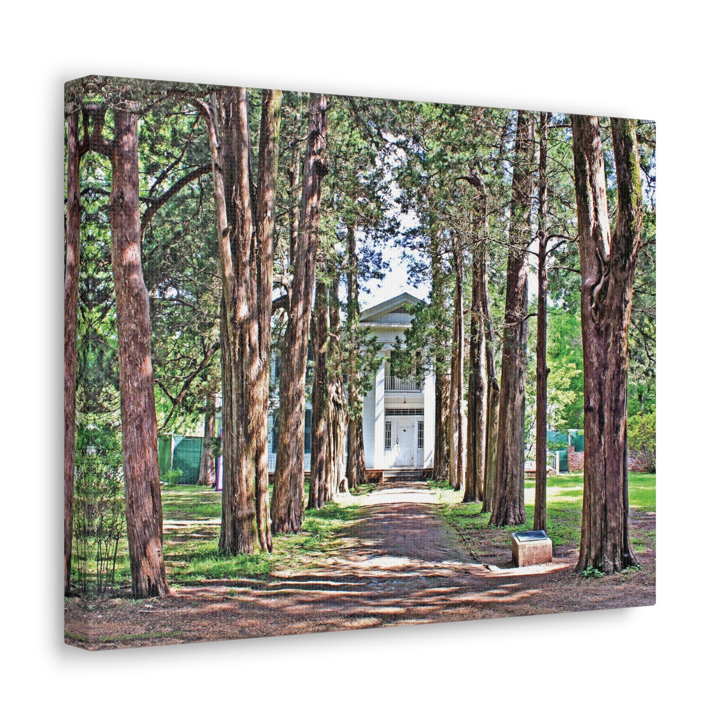 Rowan Oak - Oxford, MS Photography Canvas Gallery Wrap