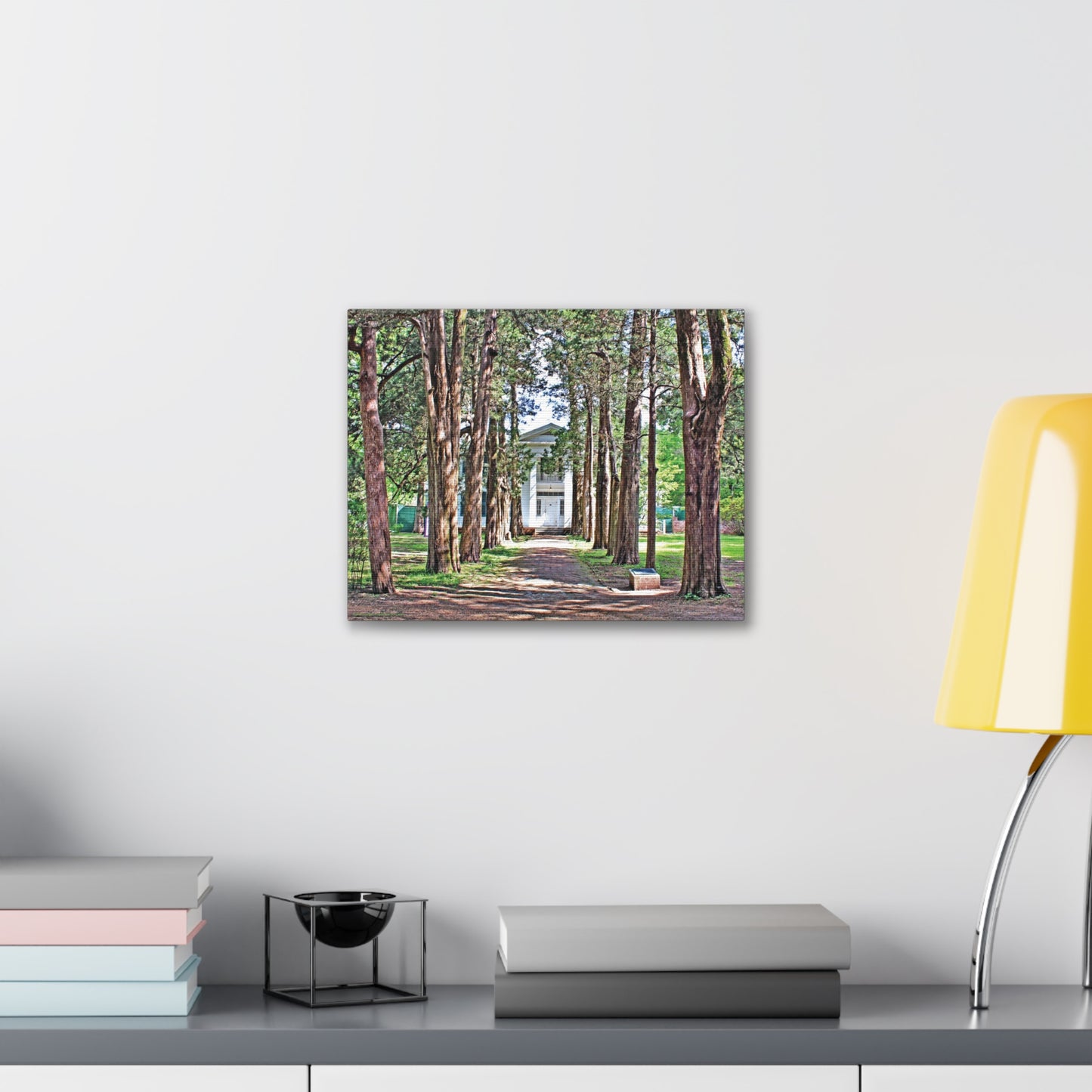 Rowan Oak - Oxford, MS Photography Canvas Gallery Wrap