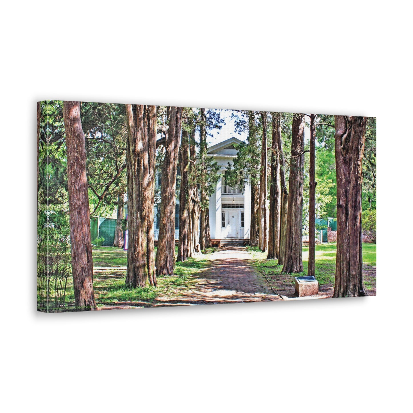 Rowan Oak - Oxford, MS Photography Canvas Gallery Wrap