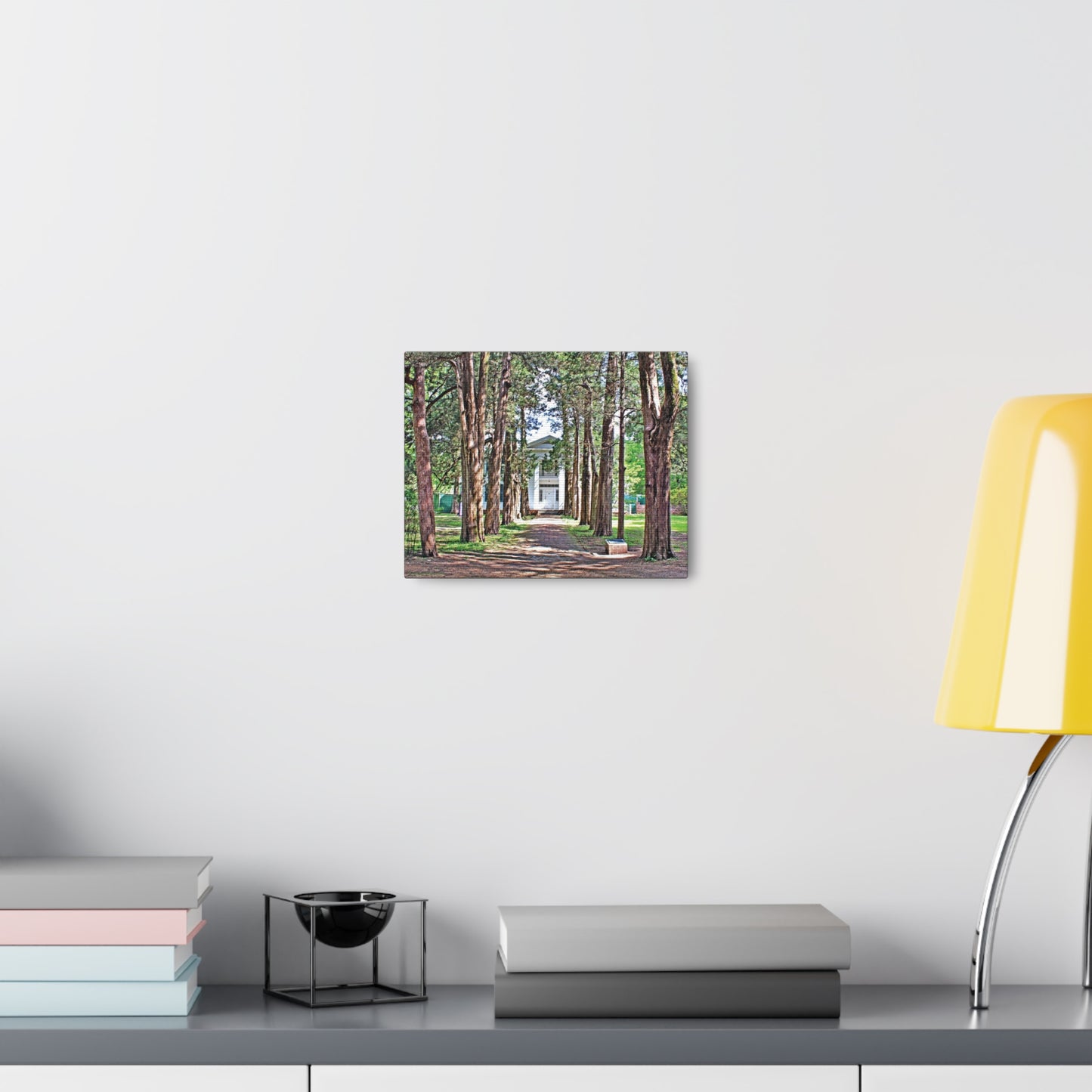 Rowan Oak - Oxford, MS Photography Canvas Gallery Wrap