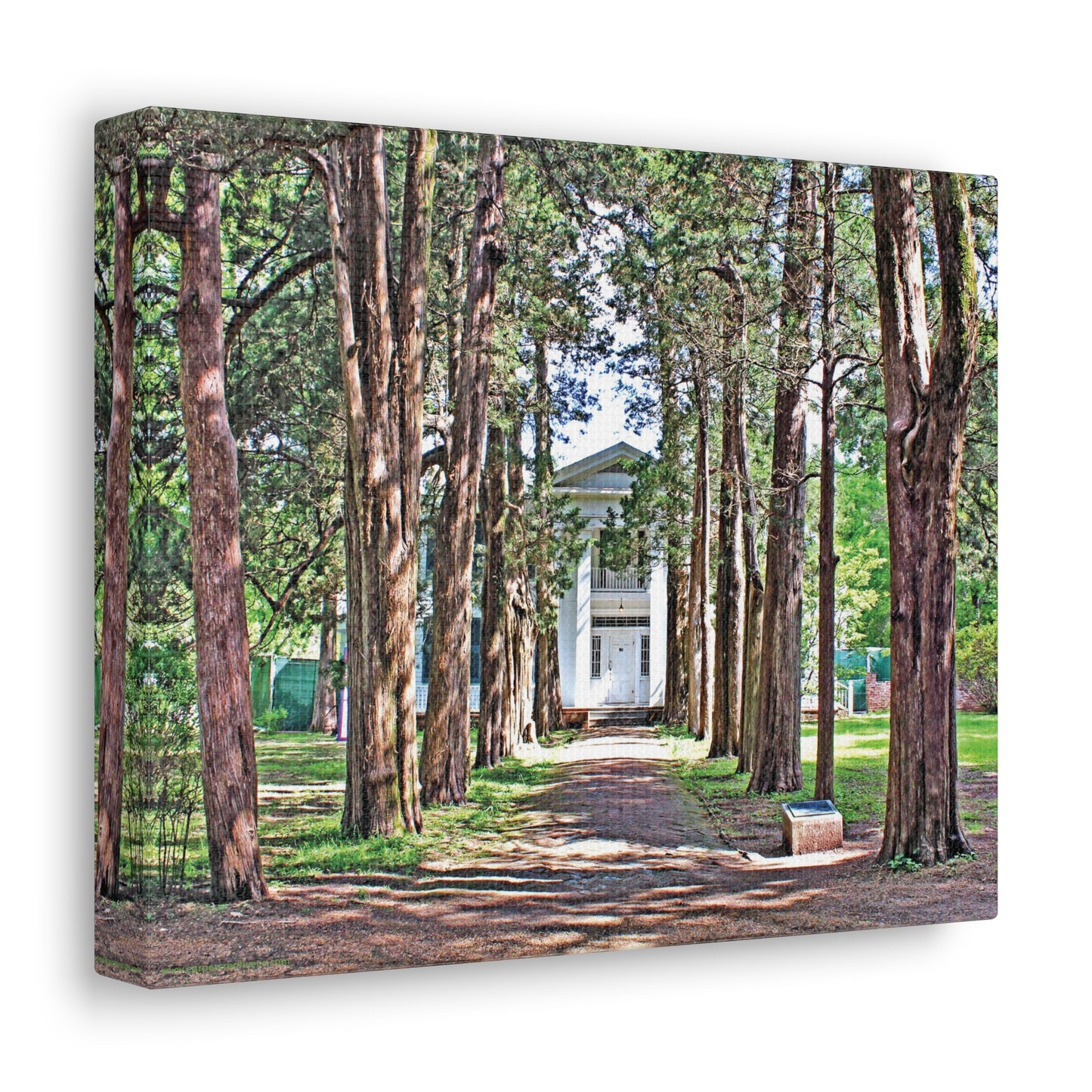 Rowan Oak - Oxford, MS Photography Canvas Gallery Wrap