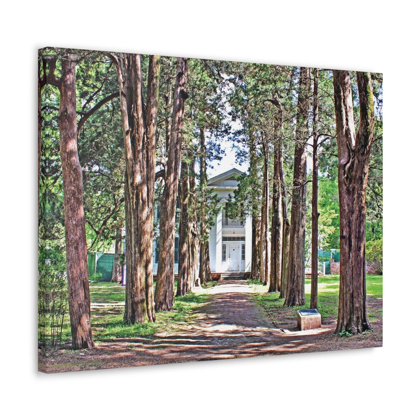 Rowan Oak - Oxford, MS Photography Canvas Gallery Wrap