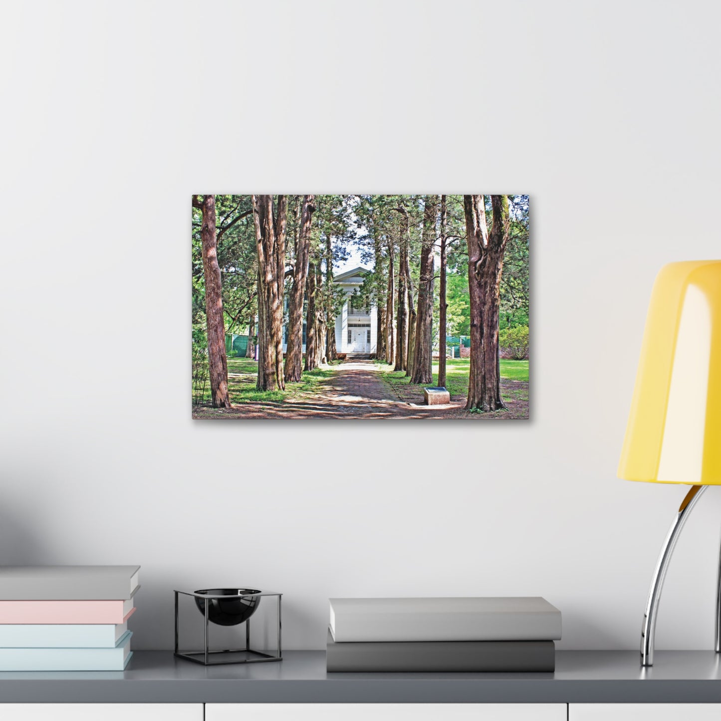 Rowan Oak - Oxford, MS Photography Canvas Gallery Wrap