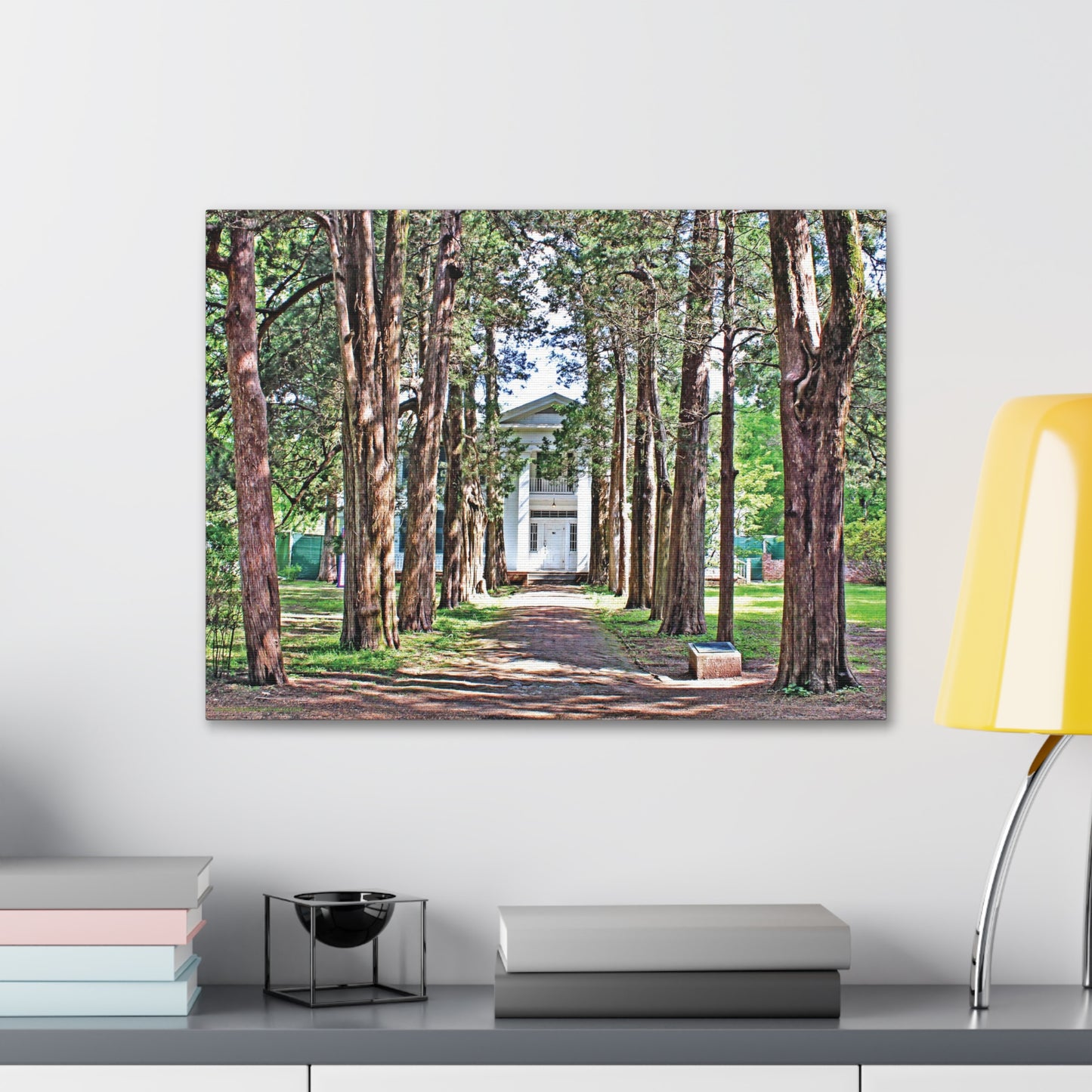 Rowan Oak - Oxford, MS Photography Canvas Gallery Wrap