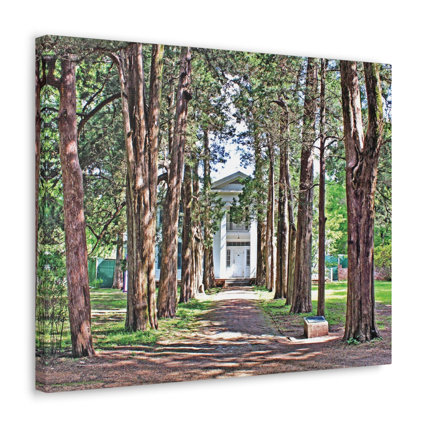 Rowan Oak - Oxford, MS Photography Canvas Gallery Wrap