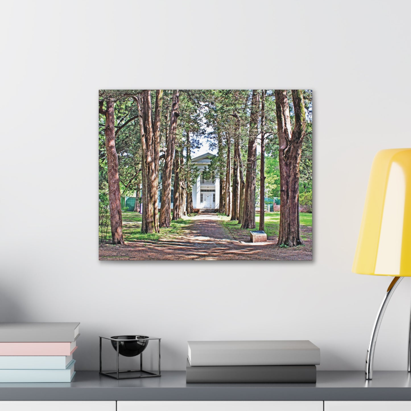 Rowan Oak - Oxford, MS Photography Canvas Gallery Wrap