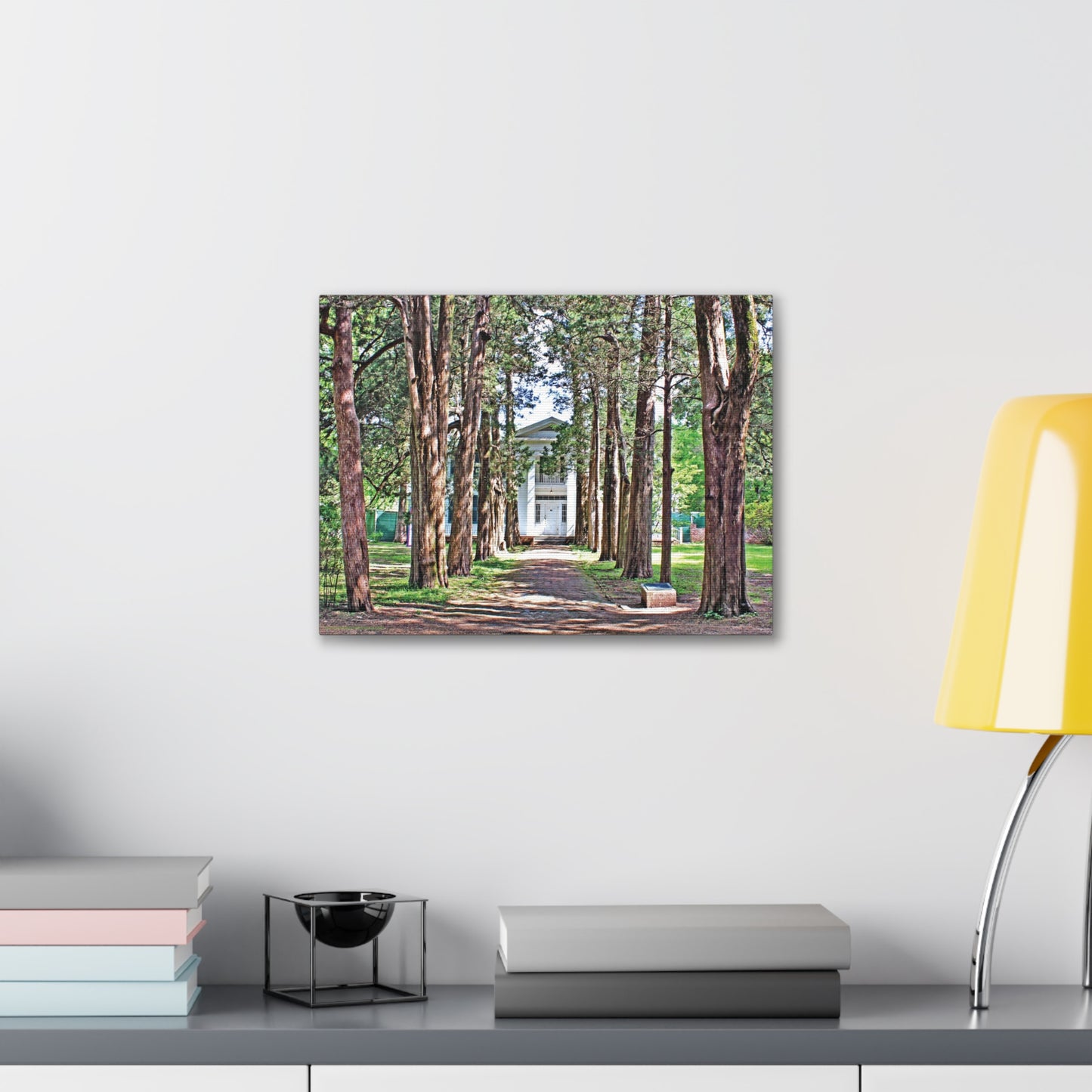 Rowan Oak - Oxford, MS Photography Canvas Gallery Wrap