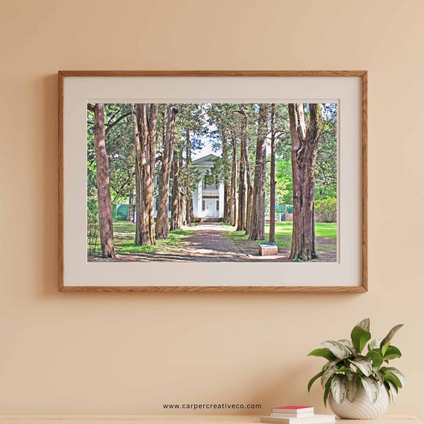 Rowan Oak - Oxford, MS Photography Print