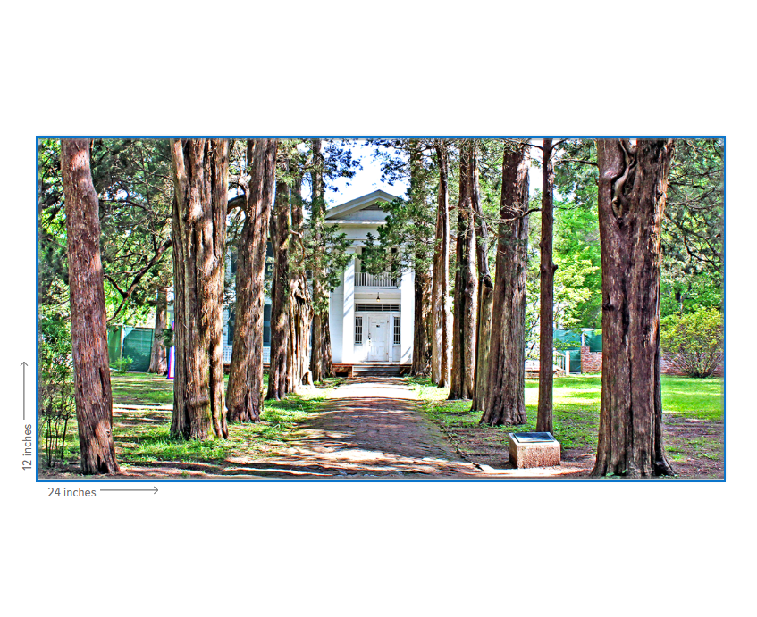 Rowan Oak - Oxford, MS Photography Print